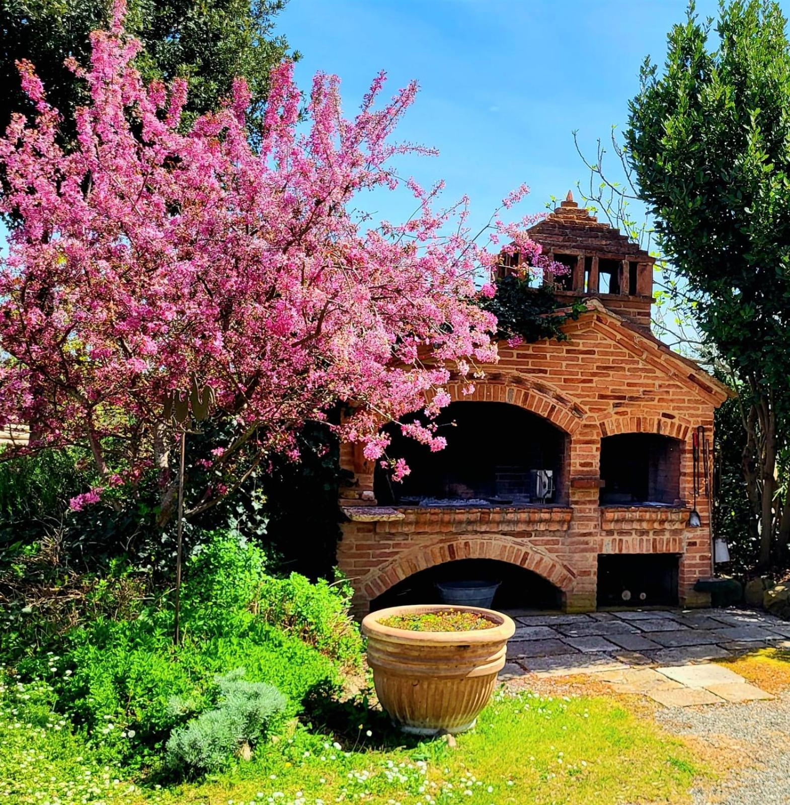 Podere Cunina Buonconvento Dış mekan fotoğraf