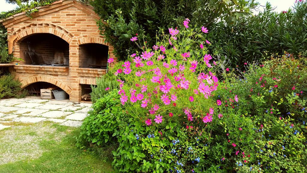 Podere Cunina Buonconvento Dış mekan fotoğraf